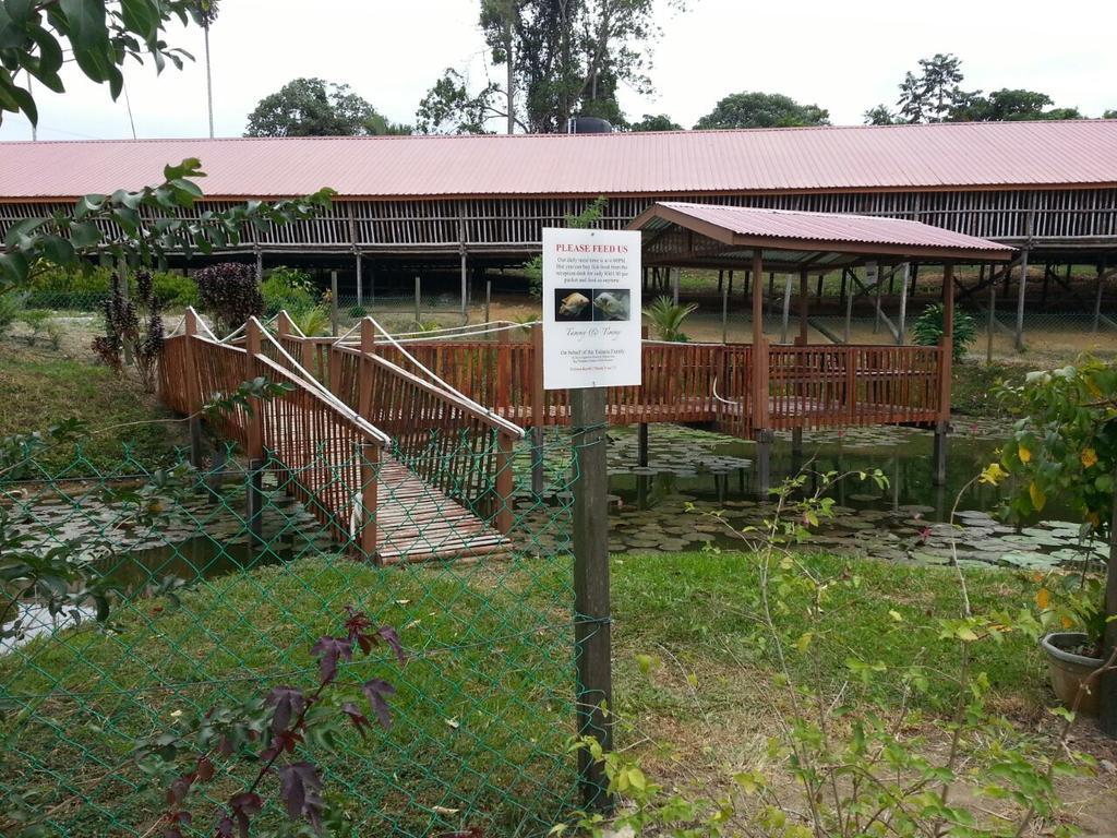 Sabah Tea Garden-Longhouses Ranau Exterior foto
